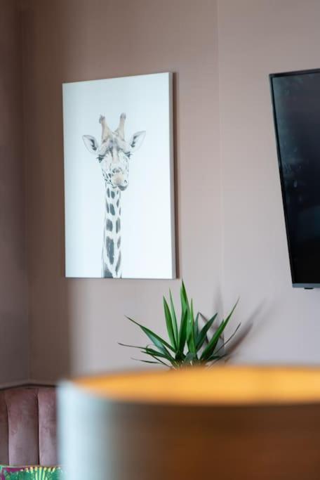 Stylish Beachfront Apartment, Sweeping Ocean Views And Luxury Touches Herne Bay Esterno foto