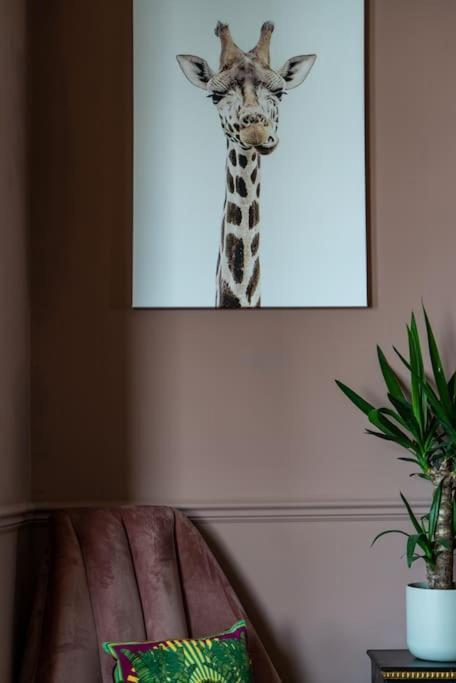 Stylish Beachfront Apartment, Sweeping Ocean Views And Luxury Touches Herne Bay Esterno foto